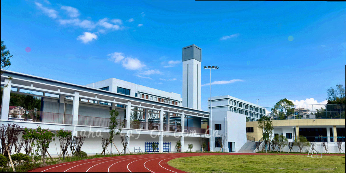 以数据网格和足球轮廓组成的抽象封面